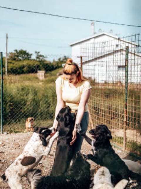 Persona sosteniendo un cachorro rescatado