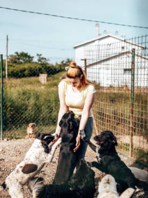 Persona sosteniendo un cachorro rescatado